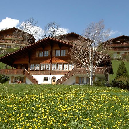 Chalet Unter Dem Stein กรินเดลวัลด์ ภายนอก รูปภาพ