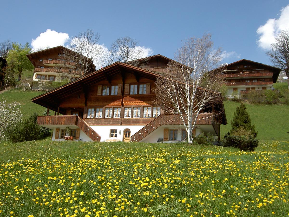 Chalet Unter Dem Stein กรินเดลวัลด์ ภายนอก รูปภาพ