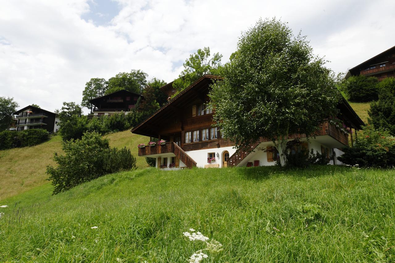 Chalet Unter Dem Stein กรินเดลวัลด์ ภายนอก รูปภาพ
